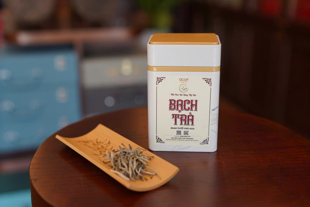 ASEAN V Shantea: Bạch trà Shan tuyết phù hoa 1